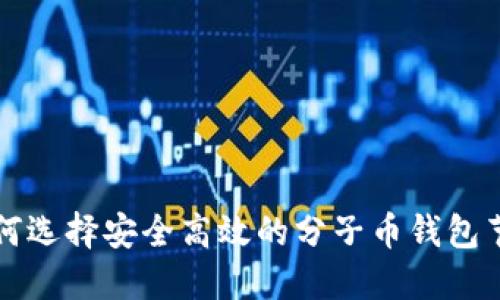 如何选择安全高效的分子币钱包节点
