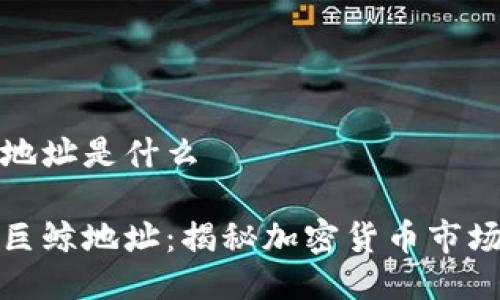 区块链巨鲸地址是什么
探索区块链巨鲸地址:揭秘加密货币市场的神秘力量