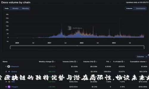 探索区块链的独特优势与潜在局限性,畅谈未来走势