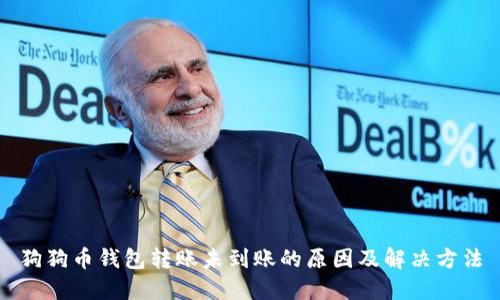 狗狗币钱包转账未到账的原因及解决方法