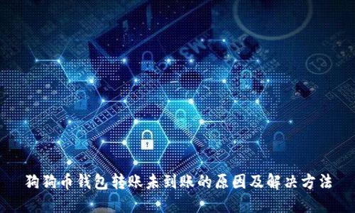 狗狗币钱包转账未到账的原因及解决方法