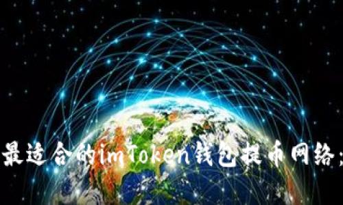 如何选择最适合的imToken钱包提币网络：全面指南