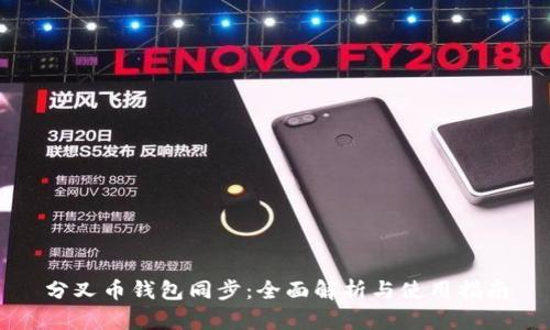 分叉币钱包同步：全面解析与使用指南