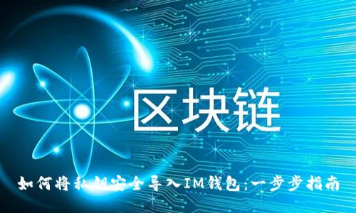 如何将私钥安全导入IM钱包:一步步指南