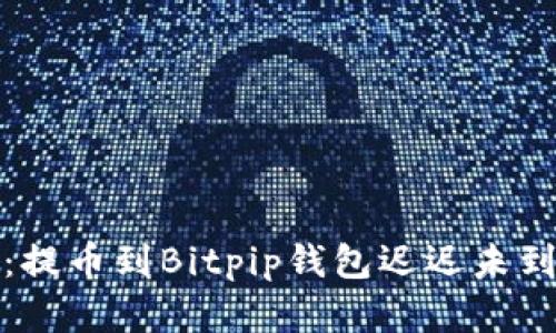 坎坷的数字货币之旅：提币到Bitpip钱包迟迟未到账的原因与解决方案