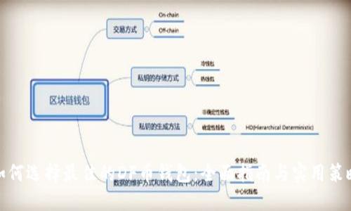 如何选择最佳的DF币钱包：全面指南与实用策略
