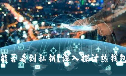 热钱包到底能否看到私钥？深入探讨热钱包的内在机制