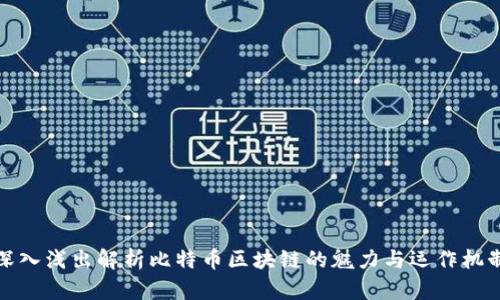 深入浅出解析比特币区块链的魅力与运作机制