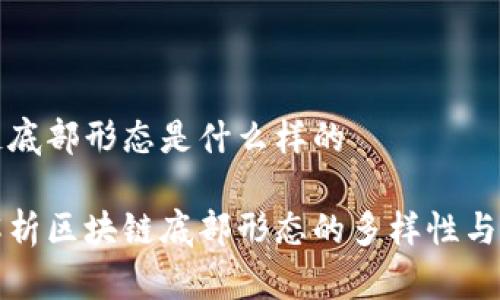 区块链底部形态是什么样的
深入解析区块链底部形态的多样性与实用性