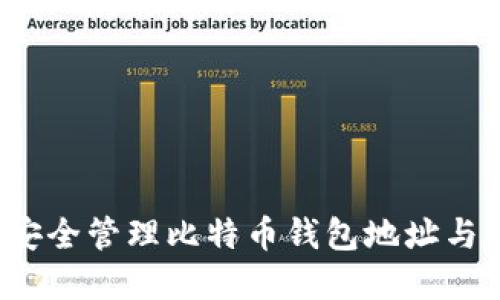 如何安全管理比特币钱包地址与密码？