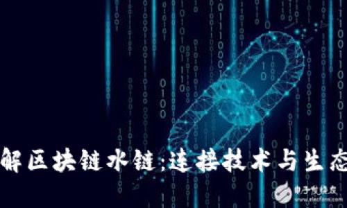 深入了解区块链水链：连接技术与生态的未来