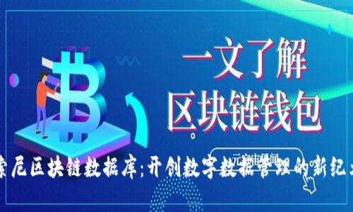 索尼区块链数据库:开创数字数据管理的新纪元