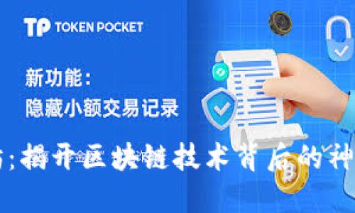 星态坊：揭开区块链技术背后的神秘面纱