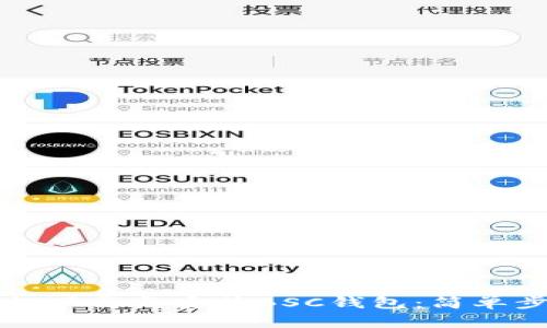 如何轻松下载与安装BSC钱包:简单步骤指南