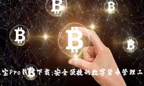 波宝Pro钱包下载:安全便捷的数字货币管理工具