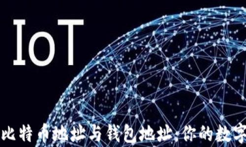 深入了解比特币地址与钱包地址:你的数字财富之钥