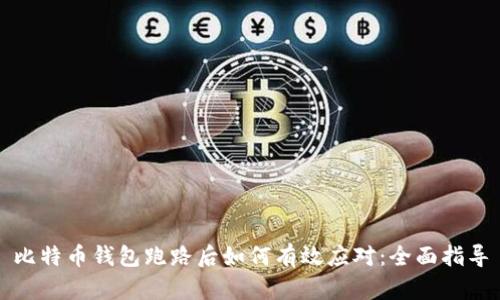 比特币钱包跑路后如何有效应对：全面指导