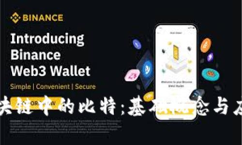 探秘区块链中的比特:基础概念与应用解析
