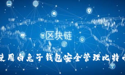 如何使用白兔子钱包安全管理比特币资产