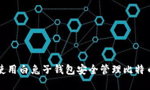 如何使用白兔子钱包安全管理比特币资产