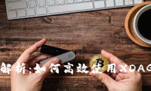 全面解析：如何高效使用XDAG钱包