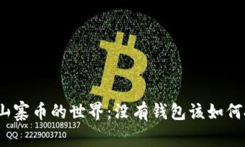 探索山寨币的世界：没有钱包该如何投资？