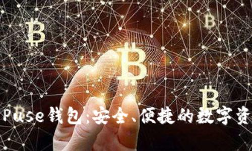 全方位解析Puse钱包：安全、便捷的数字资产管理利器
