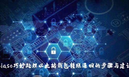 biaso巧妙处理以太坊钱包转账退回的步骤与建议