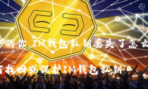 健忘的你，IM钱包私钥丢失了怎么办？

如何找回或保护IM钱包私钥