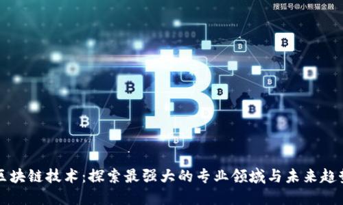 区块链技术:探索最强大的专业领域与未来趋势