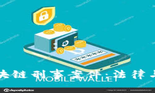 全面解析区块链刑事案件：法律与技术的碰撞