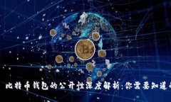 ### 比特币钱包的公开性深度解析：你需要知道的