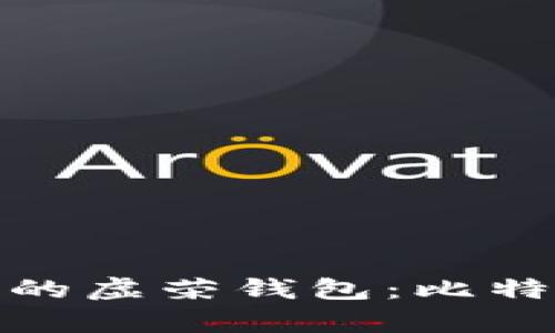 如何选择最适合你的虚荣钱包:比特币存储的智慧之选
