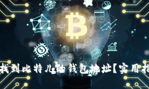 如何快速找到比特儿的钱包地址?实用指南与技巧