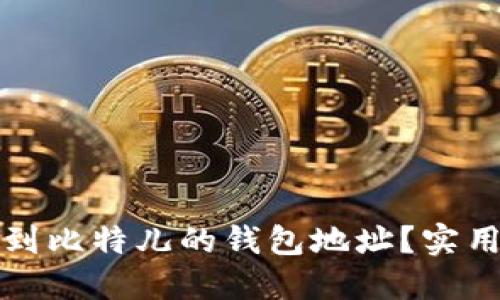 如何快速找到比特儿的钱包地址?实用指南与技巧