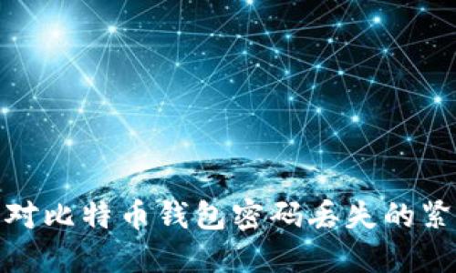 如何应对比特币钱包密码丢失的紧急策略