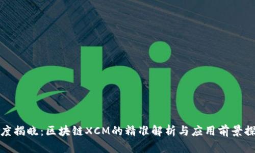 深度揭晓:区块链XCM的精准解析与应用前景探讨