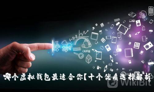 哪个虚拟钱包最适合你?十个优质选择解析