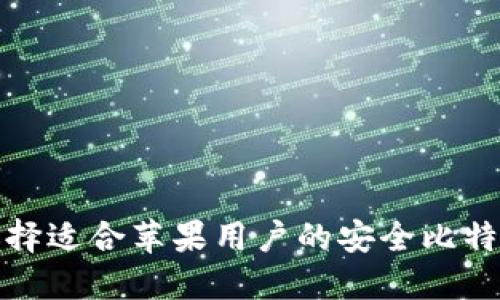 如何选择适合苹果用户的安全比特币钱包