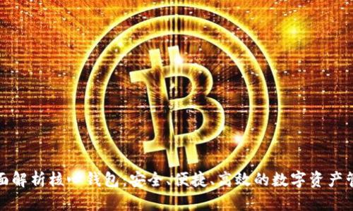 全面解析核心钱包:安全、便捷、高效的数字资产管理