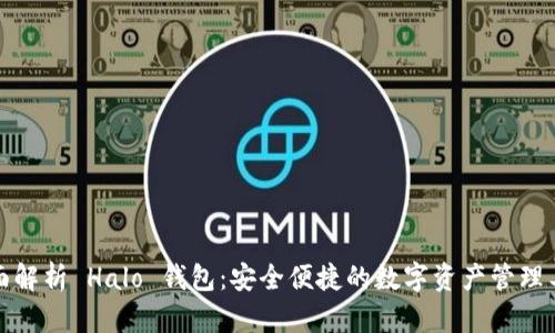 全面解析 Halo 钱包:安全便捷的数字资产管理工具