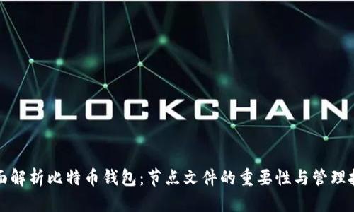 全面解析比特币钱包:节点文件的重要性与管理技巧