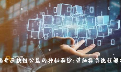 揭开区块链公益的神秘面纱：详细操作流程解析