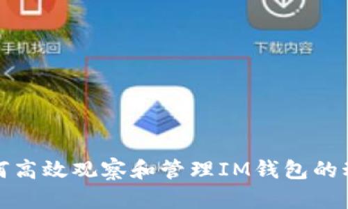 如何高效观察和管理IM钱包的动态