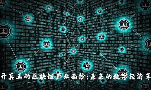 揭开真正的区块链产业面纱:未来的数字经济革命
