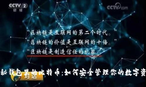 揭秘钱包里的比特币：如何安全管理你的数字资产