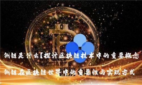侧链是什么？探讨区块链技术中的重要概念

侧链在区块链世界中的重要性与实现方式