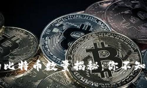 中本聪持有的比特币数量揭秘：你不知道的背后故事
