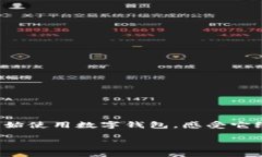 解析数字钱包的优点，发现它的便捷与安全数字