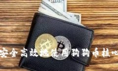 如何安全高效地使用狗狗币核心钱包